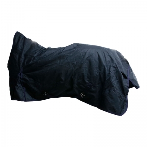 Pensée pour affronter les conditions climatiques les...